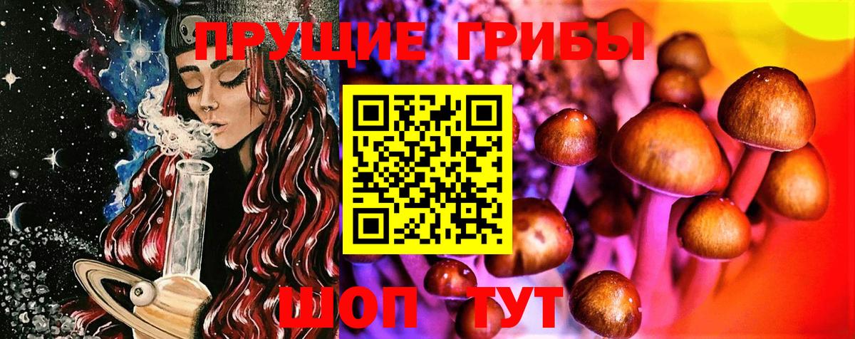 Усинск  Псилоцибиновые грибы Psilocybine cubensis  Вход с VPN 